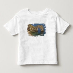 Durdle Door Arch, Jurassic Coast World Heritage 3 Toddler T-Shirt