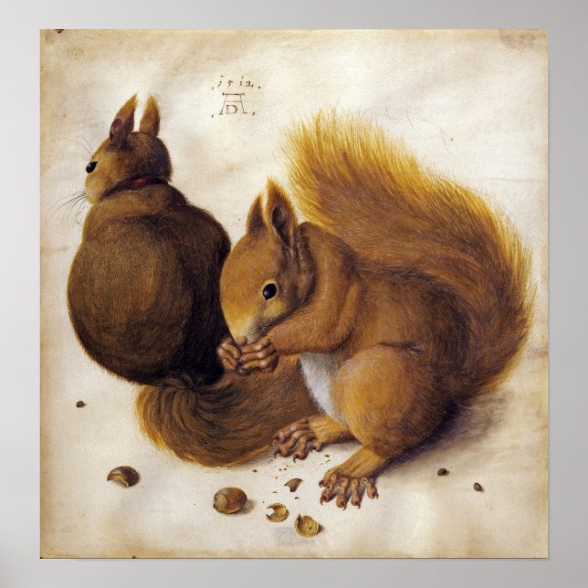 Dürer - Squirrel Poster (Front)