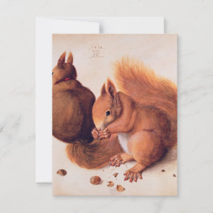 Durer - Squirrels 1512 Thank You Card
