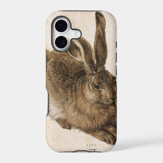 Durer Young Hare