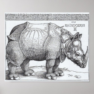 Dürer's Rhinoceros Poster