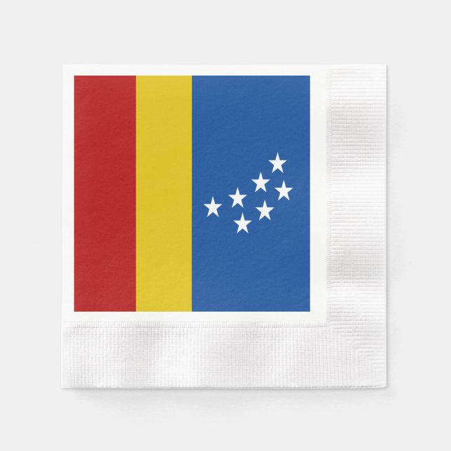 Durham city flag napkin (Front)