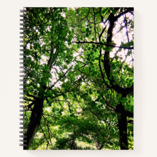 Durham trees notebook