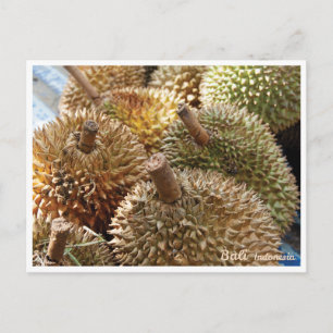 Durian Bali - Travel postcard