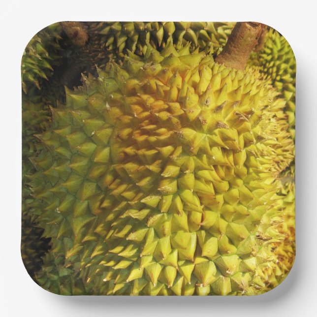 Durian Fruit Paper Plate (Front)