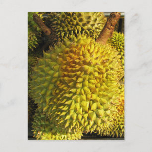 Durian Fruit Postcard
