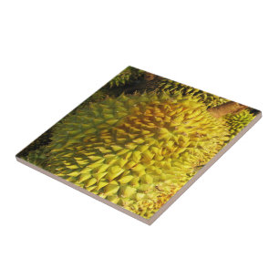 Durian Fruit Tile