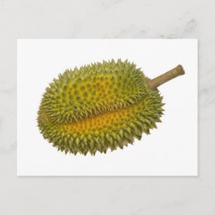 Durian Postcard