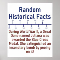 During WWII A Great Dane - History Fact