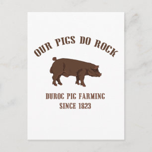 Duroc pigs do rock - since 1923 postcard