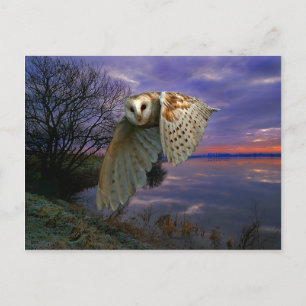 "Dusk" Postcard