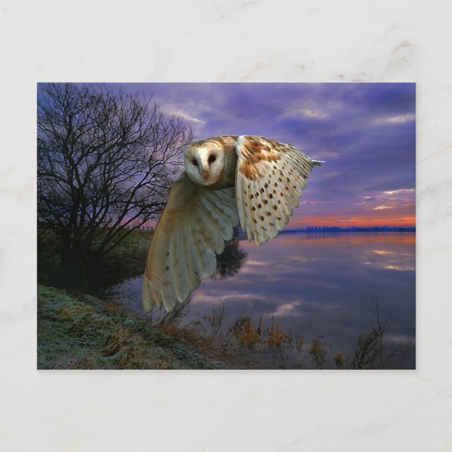 "Dusk" Postcard (Front)