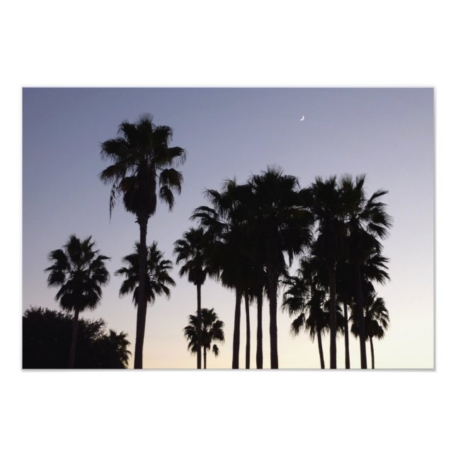 Dusk with Palm Trees Tropical Scene Photo Print (Front)