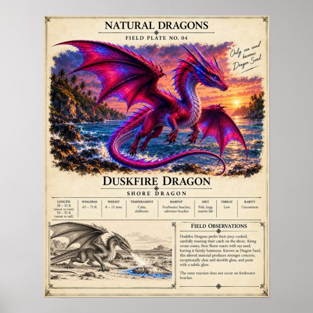 Duskfire Field Plate Poster (Front)