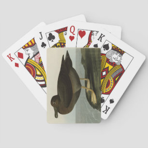 Dusky Albatross from Audubon's Birds of America Playing Cards