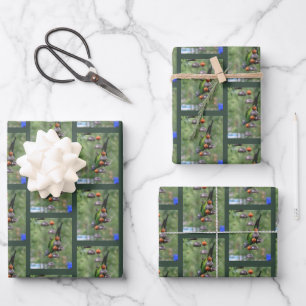 Dusky Conure Parrot Upside Down Bird   Wrapping Paper Sheet