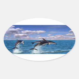 Dusky Dolphins At Play Oval Sticker