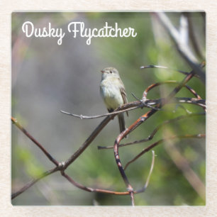 Dusky Flycatcher Glass Coaster