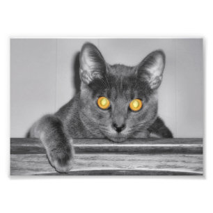 Dusky Gold Photo Print