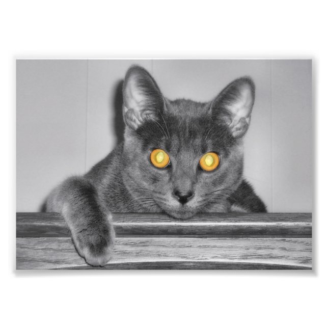 Dusky Gold Photo Print (Front)