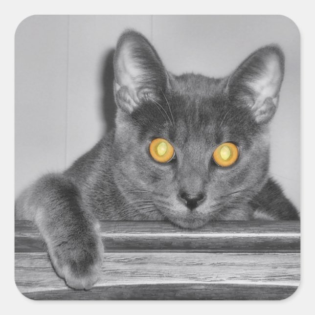 Dusky Gold Stickers (Front)