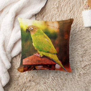Dusky Headed Conure Parrot Abstract  Cushion