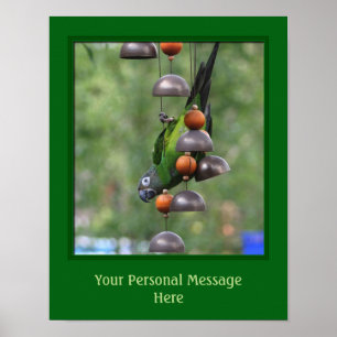 Dusky Headed Conure Parrot Animal Personalized Poster