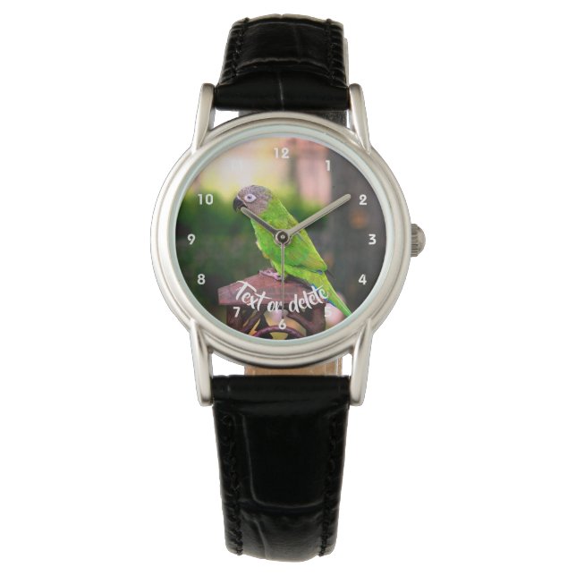 Dusky Headed Conure Parrot Personalised Watch (Front)