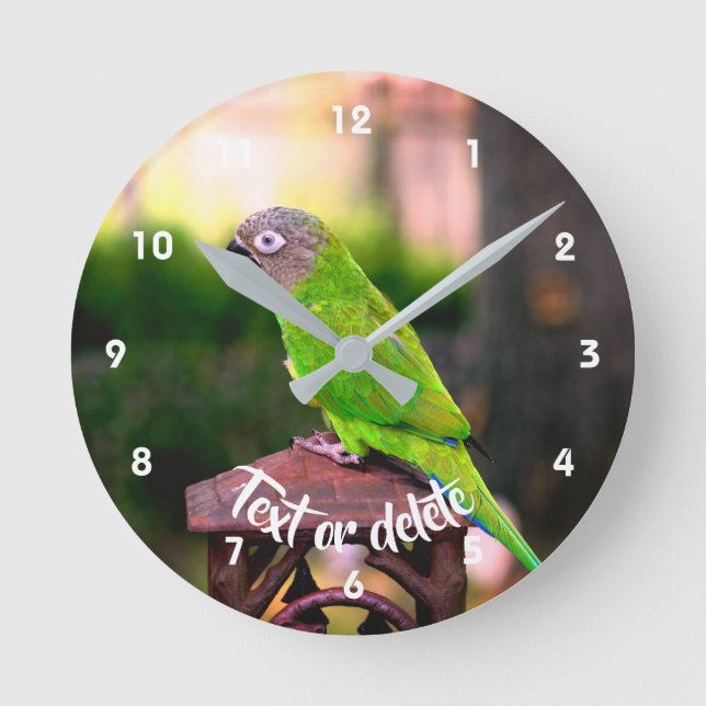 Dusky Headed Conure Parrot Personalized Round Clock (Front)