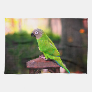 Dusky Headed Conure Parrot   Tea Towel