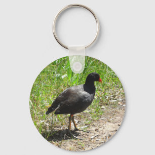 Dusky Moorhen Key Ring