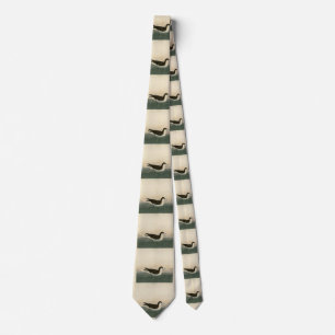 Dusky Petrel from Audubon's Birds of America Tie