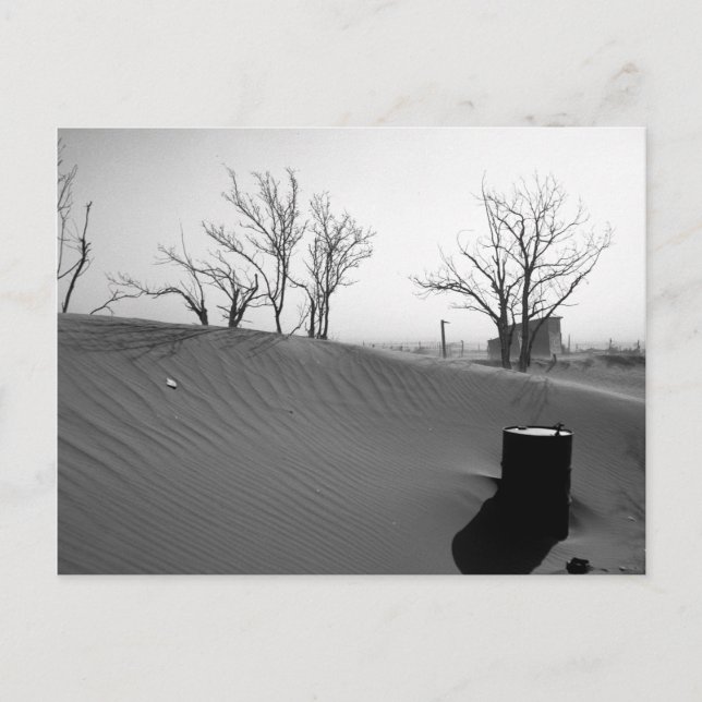 Dust Bowl Farm - Western Oklahoma 1936 Postcard (Front)