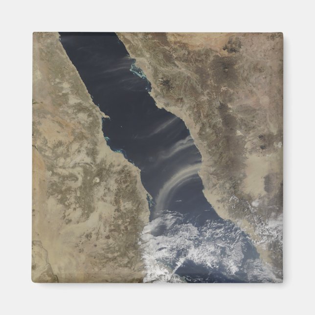 Dust plumes blow off the coast of Saudi Arabia Magnet (Front)
