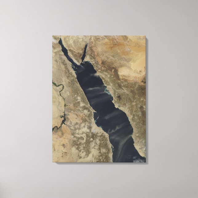 Dust plumes over the Red Sea Canvas Print (Front)