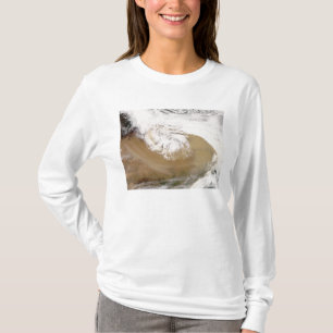 Dust storm in northern China 2 T-Shirt