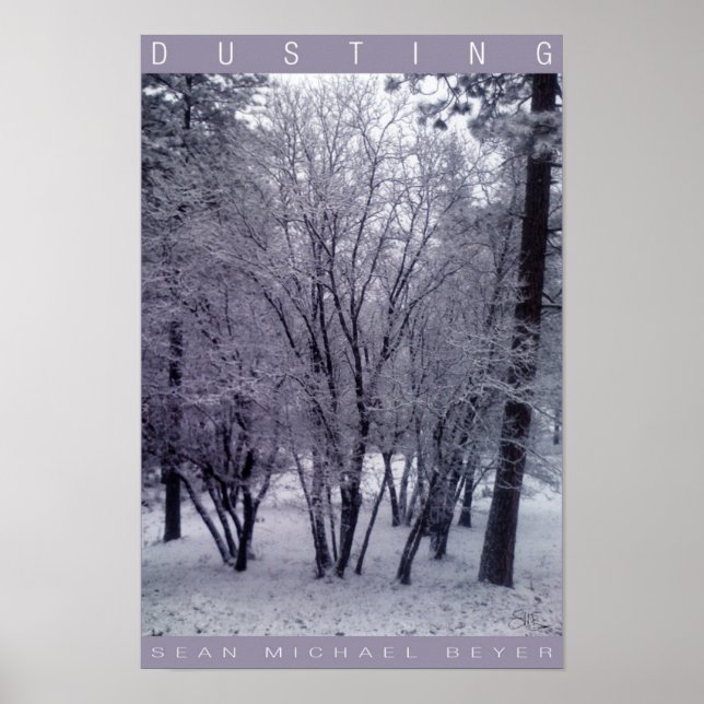 Dusting Poster (Front)