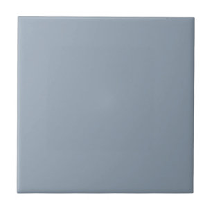 Dusty Dove Blue Color Tile