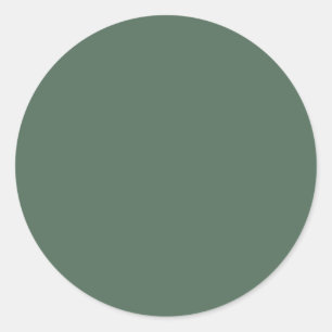 Dusty Eucalyptus Green Solid Colour Classic Round Sticker