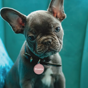 Dusty Mauve Retro Pet Tag