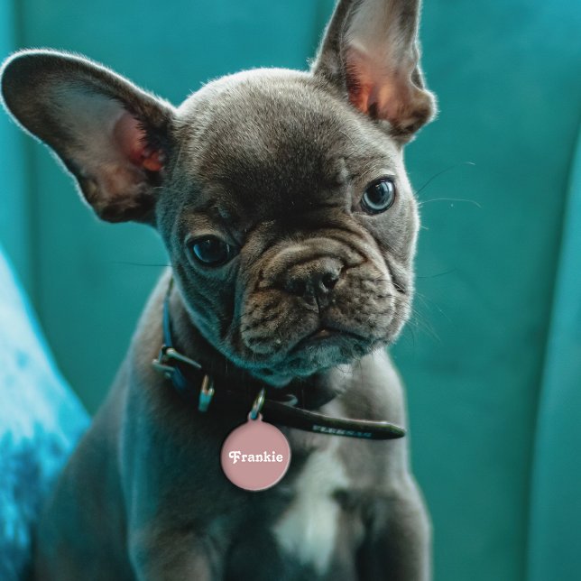 Dusty Mauve Retro Pet Tag (Creator Uploaded)