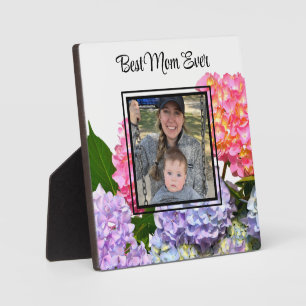 Dusty pink blue yellow green floral hydrangeas plaque