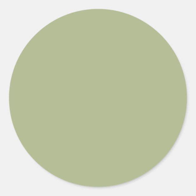 Dusty Sage Green Solid Colour Classic Round Sticker (Front)