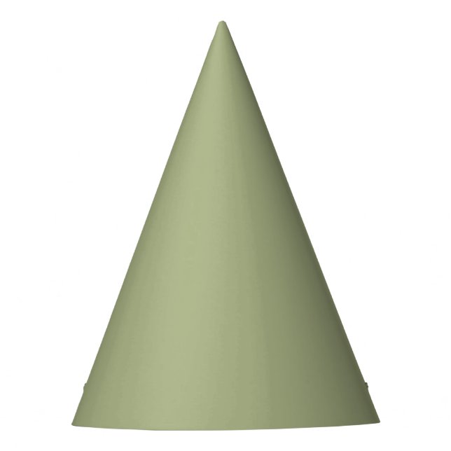 Dusty Sage Green Solid Colour Party Hat (Front)