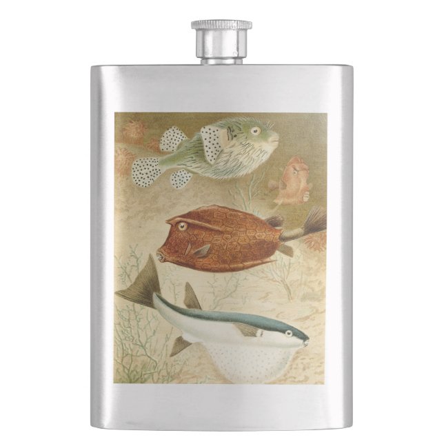 Dutch Aquatic  Hip Flask (Front)