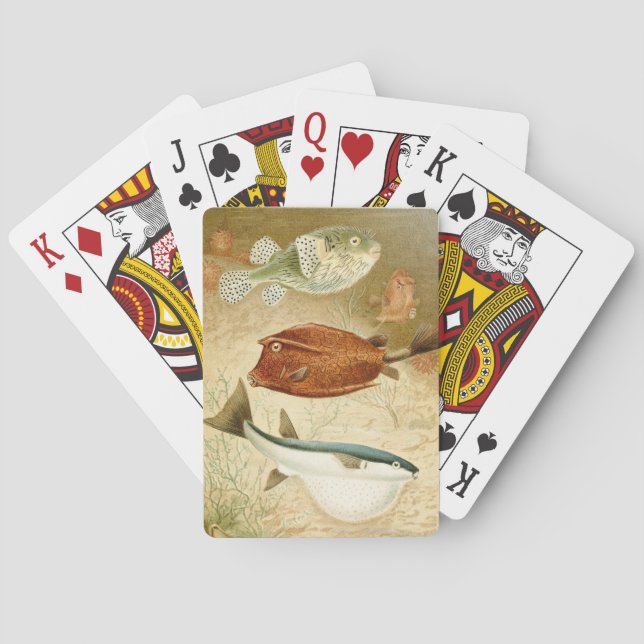 Dutch Aquatic Playing Cards (Back)