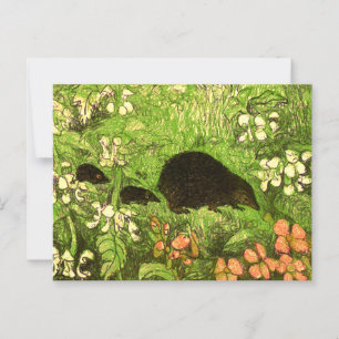 Dutch Art Nouveau Hedgehog and Babies Postcard