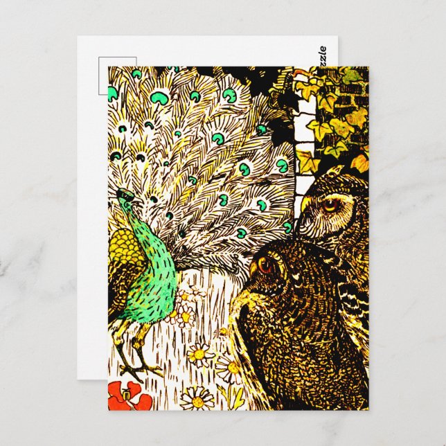 Dutch Art Nouveau Peacock and Owls Postcard (Front/Back)