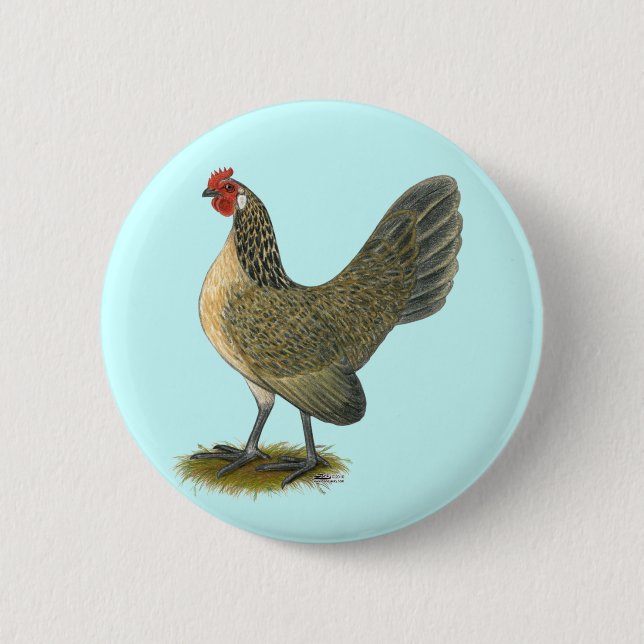 Dutch Bantam:  Blue Quail Hen 6 Cm Round Badge (Front)