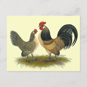 Dutch Bantam:  Blue Quail Postcard